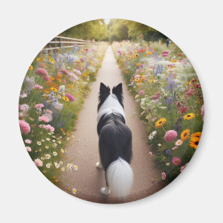 Gräns Collie Magnet