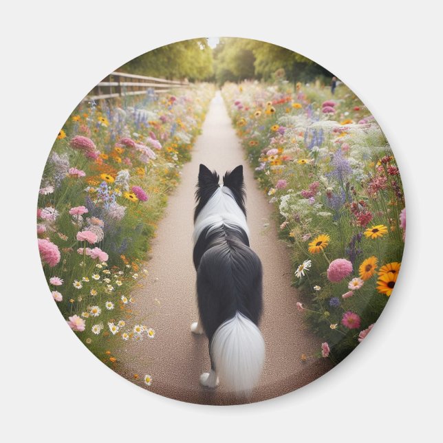 Gräns Collie Magnet (Framsidan)