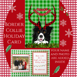 Gräns Collie med Antlers God jul Card Helgkort