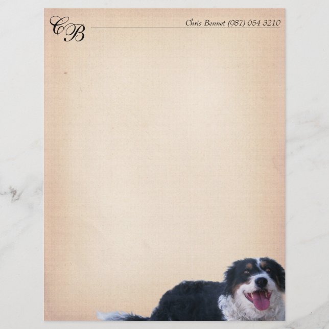 Gräns Collie Mix (Framsida)