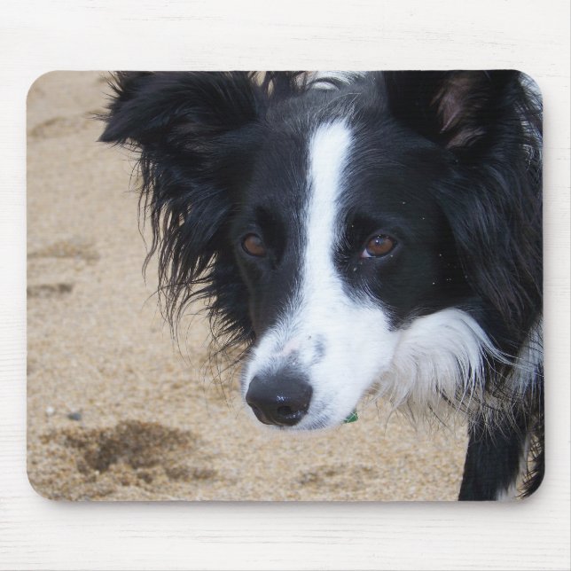 Gräns Collie Mouse Pad Musmatta (Framsidan)