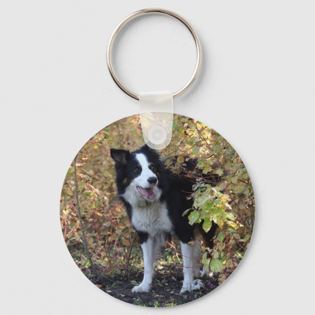 gräns collie nyckelring (Framsida)
