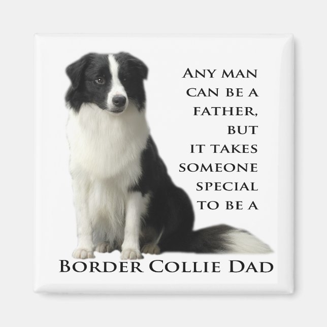 Gräns Collie Pappa Magnet (Framsidan)