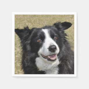 Gräns collie pappersservett