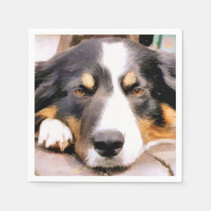 GRÄNS COLLIE PAPPERSSERVETT