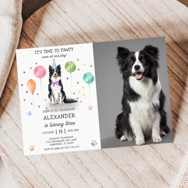 Gräns Collie Pawty Hund Puppy Birthday Blue Photo Inbjudningar (Skapare uppladdad)