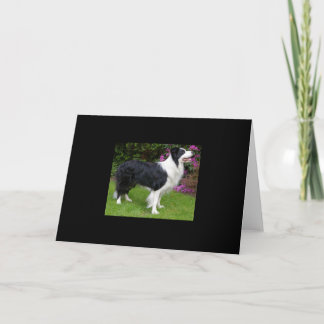 Gräns Collie Pet Hund Animal Cute Destiny Gift Kort