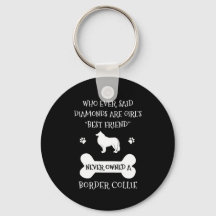 Gräns Collie Pet Hund Best Friend