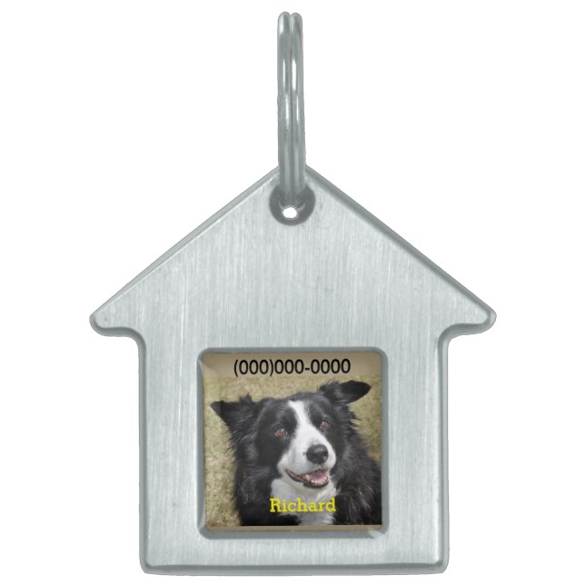 Gräns Collie Pet Namn bricka (Framsidan)