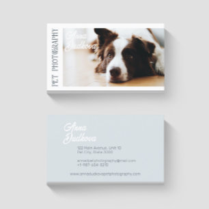 Gräns Collie Pet Photography Affärskort Visitkort