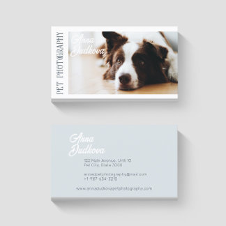 Gräns Collie Pet Photography Affärskort Visitkort