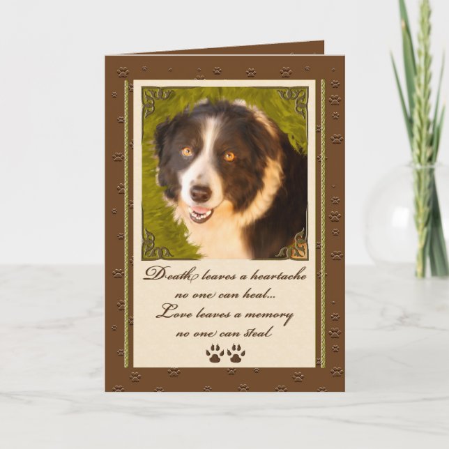 Gräns Collie Pet Sympathy Förlust av Hund Kort (Framsida)