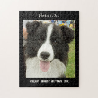 Gräns Collie Photo Hund aveln Jigszle Puzzle Pussel