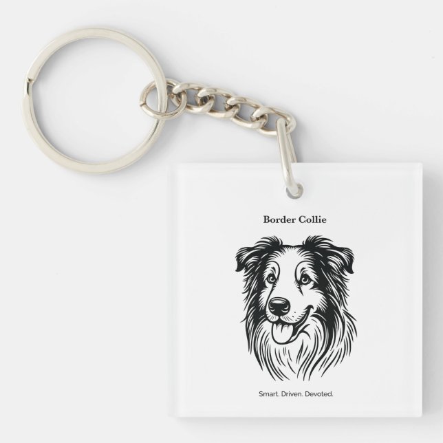 Gräns Collie Porträtt (Framsidan)