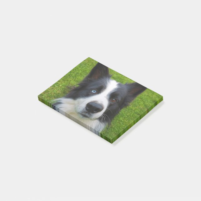Gräns Collie Post-it Block (Vinklad)