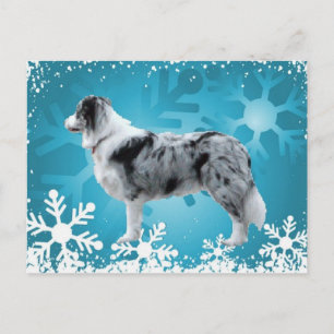 Gräns Collie Postcard~Jul Helg Vykort