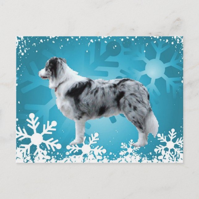 Gräns Collie Postcard~Jul Helg Vykort (Framsida)