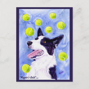 Gräns Collie Postcard - "Magpie's Guld" Vykort
