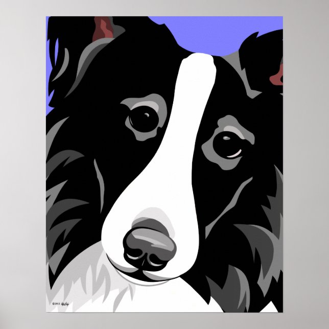 Gräns Collie Poster (Framsidan)