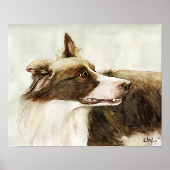 "Gräns Collie Profile" Art Reproduction Print Poster (Framsidan)