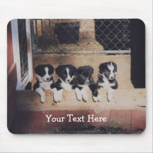 Gräns Collie Puppies Hund Mousepad Musmatta
