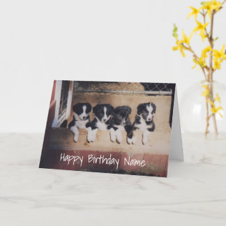 Gräns Collie Puppies Personlig Birthday Card Kort