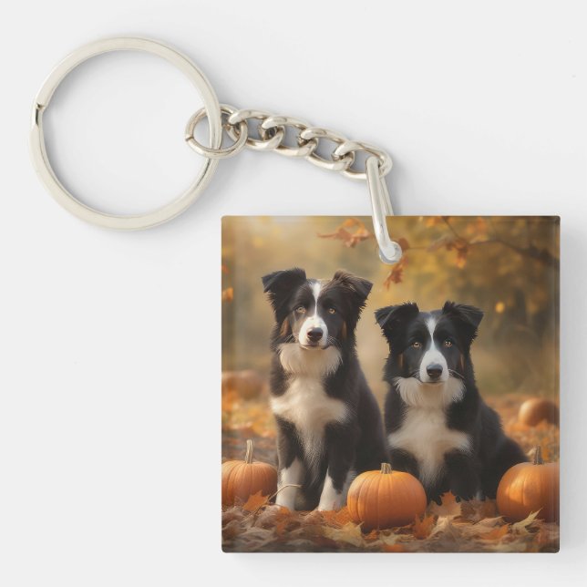 Gräns Collie Puppy Autumn Delight Pumpkin (Framsidan)