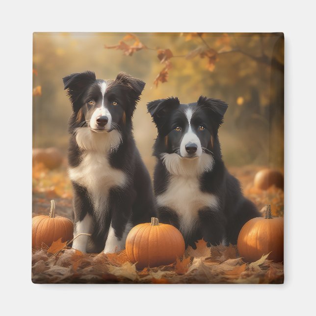 Gräns Collie Puppy Autumn Delight Pumpkin Magnet (Framsidan)