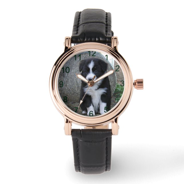 Gräns Collie Puppy Farm Life Armbandsur (Framsida)