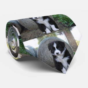 Gräns Collie Puppy Farm Life Slips