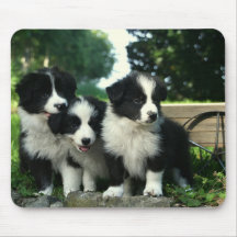 Gräns Collie Puppy Hund Mousepad