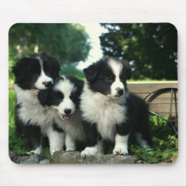 Gräns Collie Puppy Hund Mousepad Musmatta