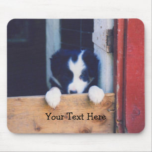 Gräns Collie Puppy Hund Mousepad Musmatta