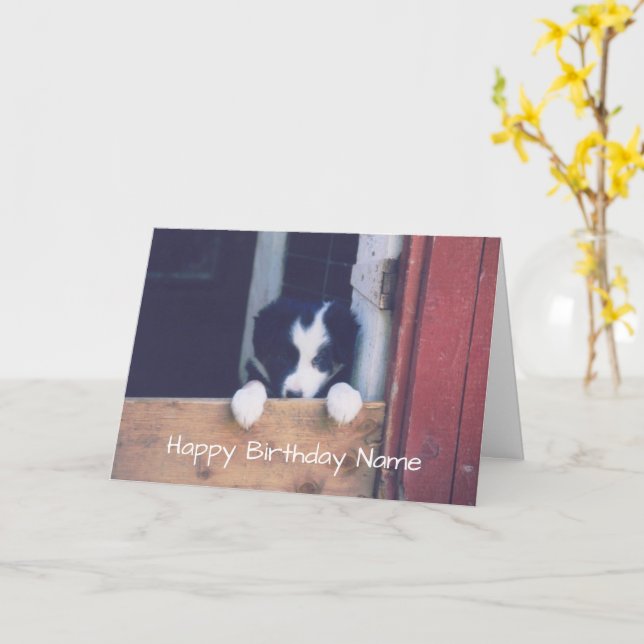Gräns Collie Puppy Personlig Birthday Card Kort (Gul blomma)