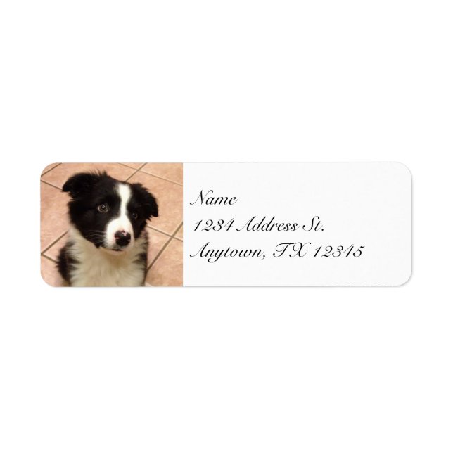 Gräns Collie Puppy returetiketter Returadress Etikett (Framsidan)