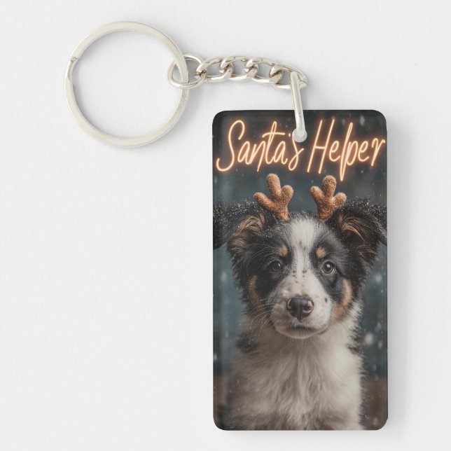 Gräns Collie Puppy som jultomten (Framsidan)