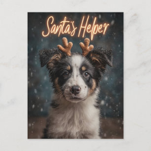 Gräns Collie Puppy som jultomten Helg Vykort