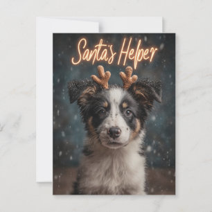 Gräns Collie Puppy som jultomten Vykort
