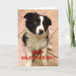 Gräns Collie Puppy Valentine Day Card Helgkort