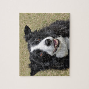 Gräns Collie Pussel