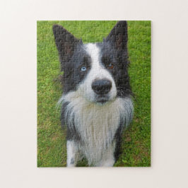 Gräns Collie Pussel