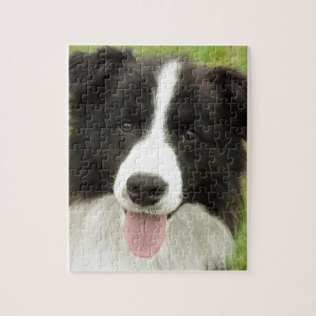Gräns Collie Pussel (Vertikal)