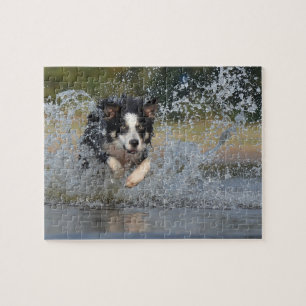 Gräns Collie Pussel