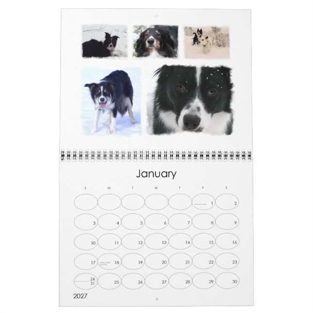 Gräns Collie Rädding 2008 Kalender (Jan 2027)