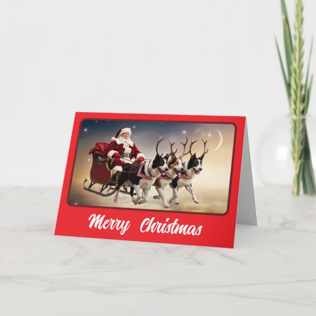 Gräns Collie Reindeer Kort (Framsida)