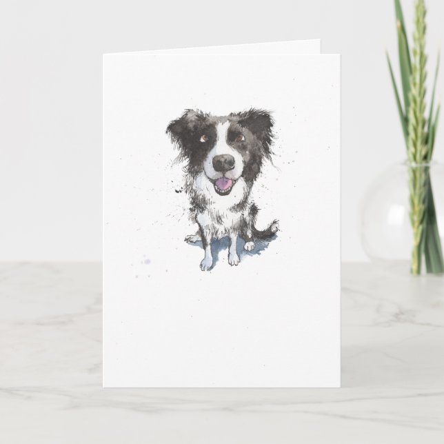 Gräns Collie, rolig hund illustration födelsedagen Kort (Framsida)