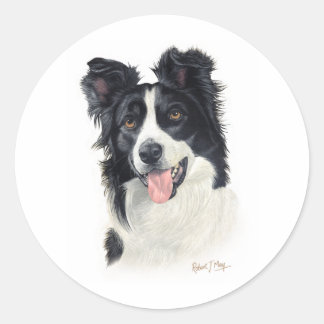 Gräns Collie Runt Klistermärke
