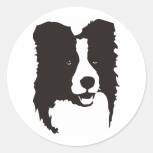 Gräns Collie Runt Klistermärke