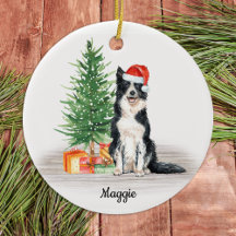 Gräns Collie Santa Hund, Personlig jul