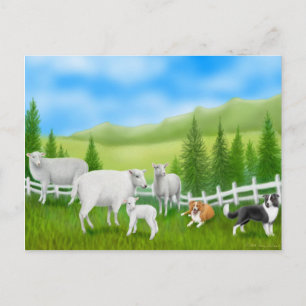 Gräns Collie & Sheep Postcard Vykort